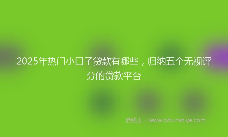 2025年热门小口子贷款有哪些，归纳五个无视评分的贷款平台