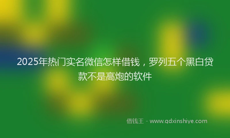 2025年热门实名微信怎样借钱，罗列五个黑白贷款不是高炮的软件