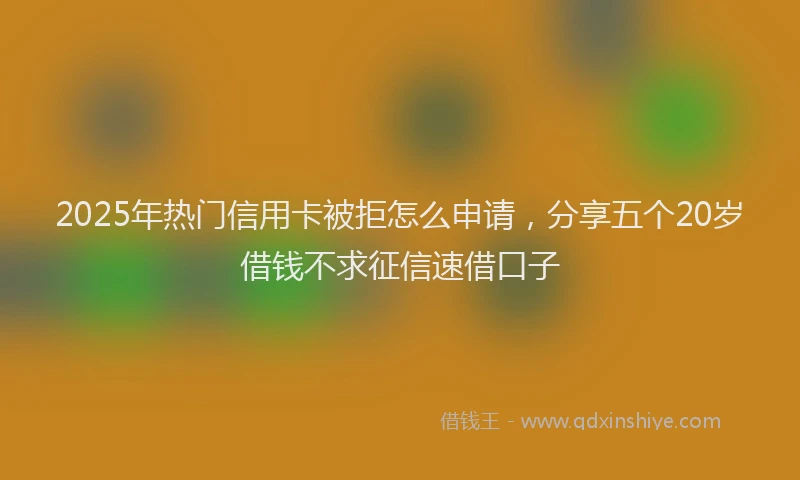 2025年热门信用卡被拒怎么申请，分享五个20岁借钱不求征信速借口子