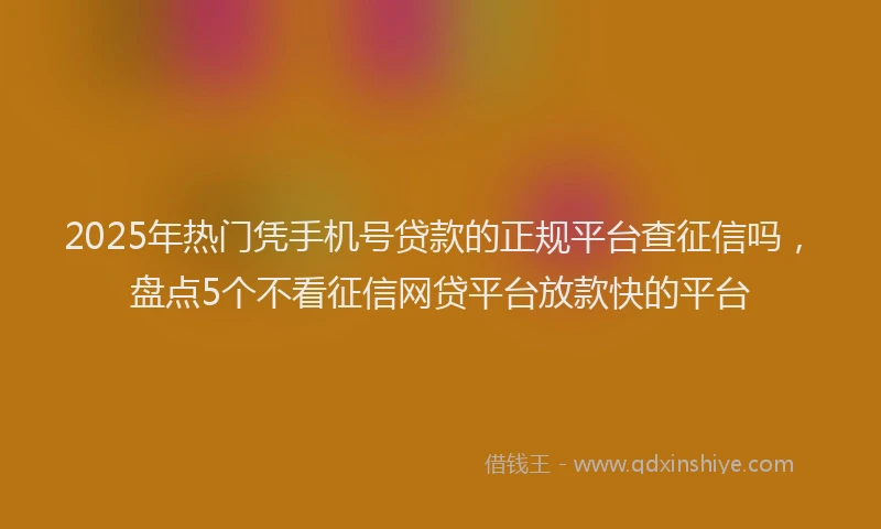 2025年热门凭手机号贷款的正规平台查征信吗,盘点5个不看征信网贷平台放款快的平台