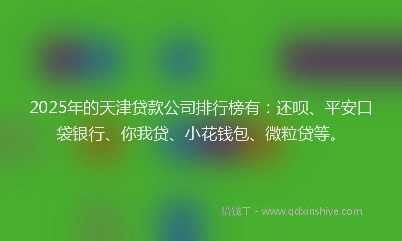 2025年的天津贷款公司排行榜有：还呗、平安口袋银行、你我贷、小花钱包、微粒贷等。