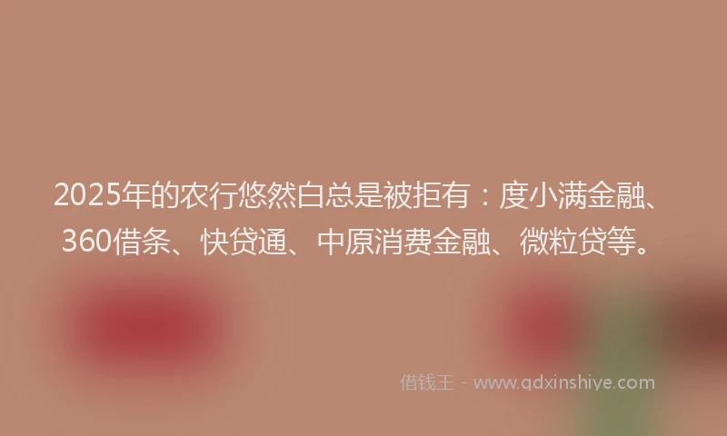 2025年的农行悠然白总是被拒有：度小满金融、360借条、快贷通、中原消费金融、微粒贷等。