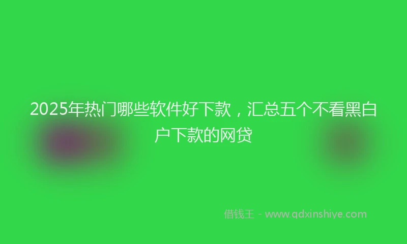 2025年热门哪些软件好下款，汇总五个不看黑白户下款的网贷