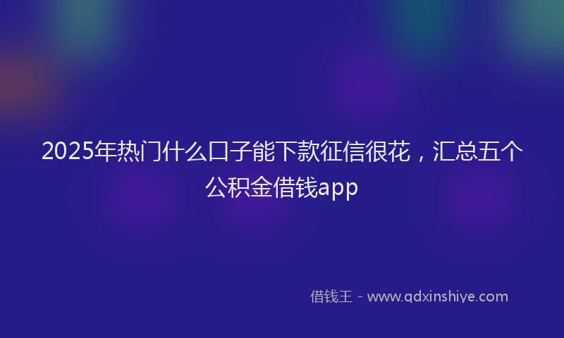 2025年热门什么口子能下款征信很花，汇总五个公积金借钱app