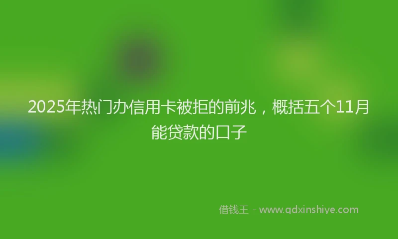 2025年热门办信用卡被拒的前兆，概括五个11月能贷款的口子