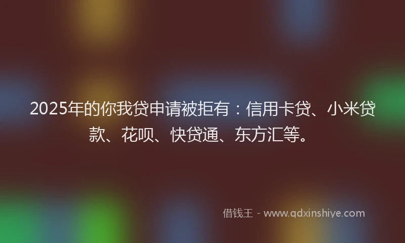 2025年的你我贷申请被拒有：信用卡贷、小米贷款、花呗、快贷通、东方汇等。