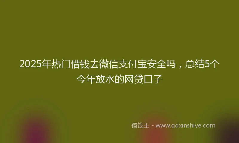 2025年热门借钱去微信支付宝安全吗，总结5个今年放水的网贷口子