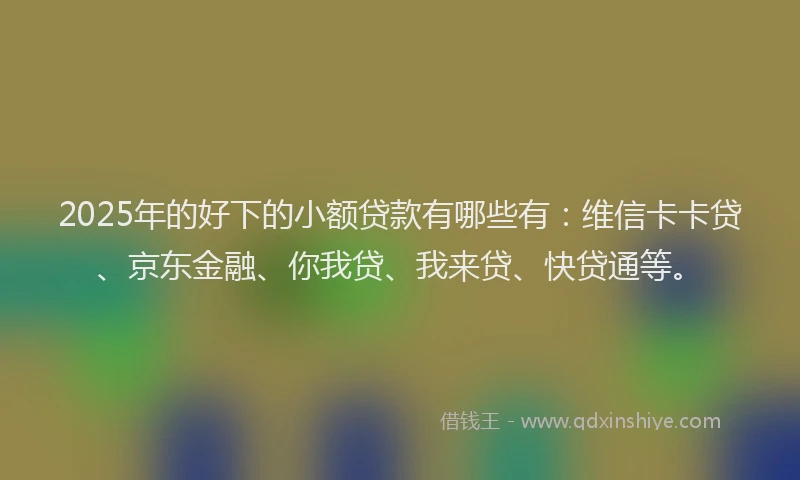 2025年的好下的小额贷款有哪些有：维信卡卡贷、京东金融、你我贷、我来贷、快贷通等。