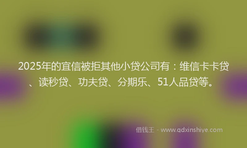 2025年的宜信被拒其他小贷公司有：维信卡卡贷、读秒贷、功夫贷、分期乐、51人品贷等。