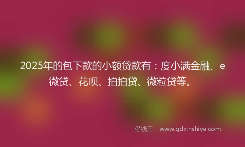 2025年的包下款的小额贷款有：度小满金融、e微贷、花呗、拍拍贷、微粒贷等。