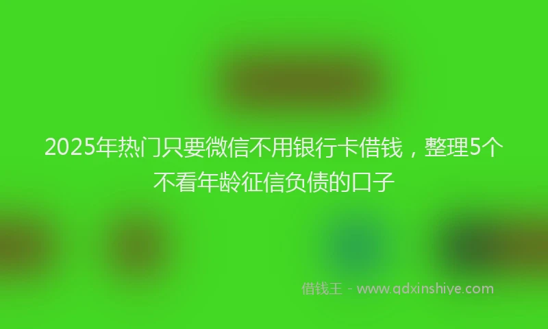 2025年热门只要微信不用银行卡借钱，整理5个不看年龄征信负债的口子
