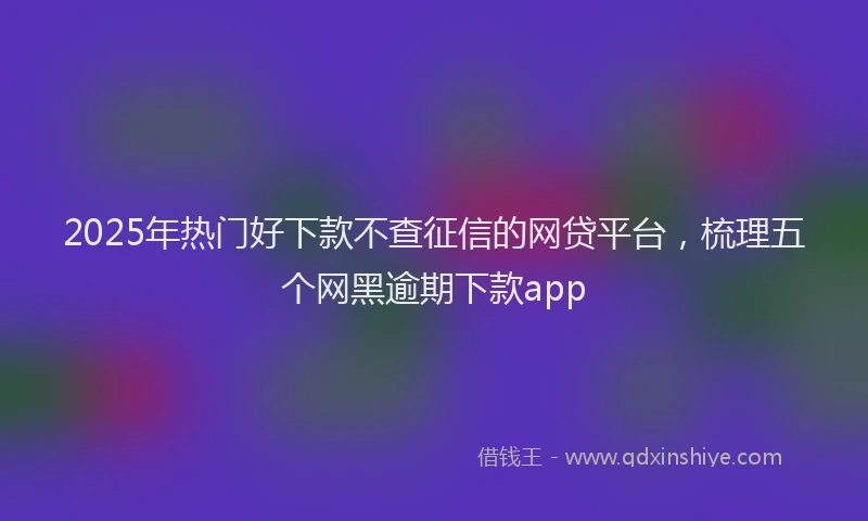 2025年热门好下款不查征信的网贷平台，梳理五个网黑逾期下款app