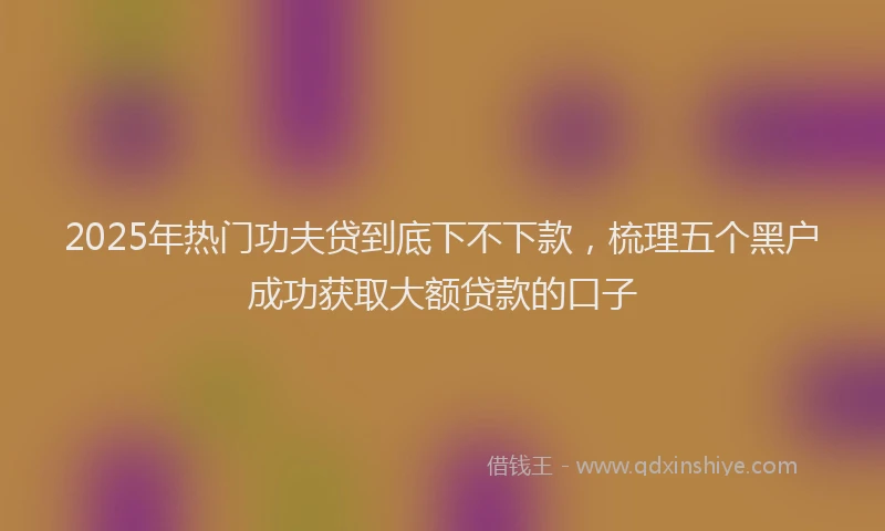 2025年热门功夫贷到底下不下款，梳理五个黑户成功获取大额贷款的口子