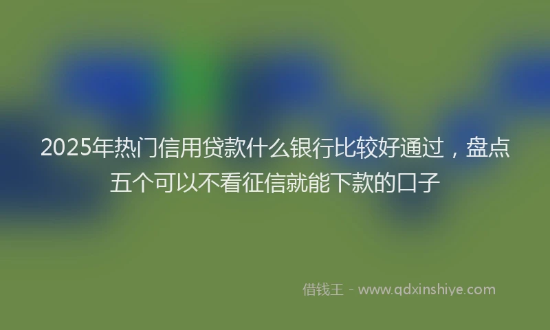 2025年热门信用贷款什么银行比较好通过，盘点五个可以不看征信就能下款的口子