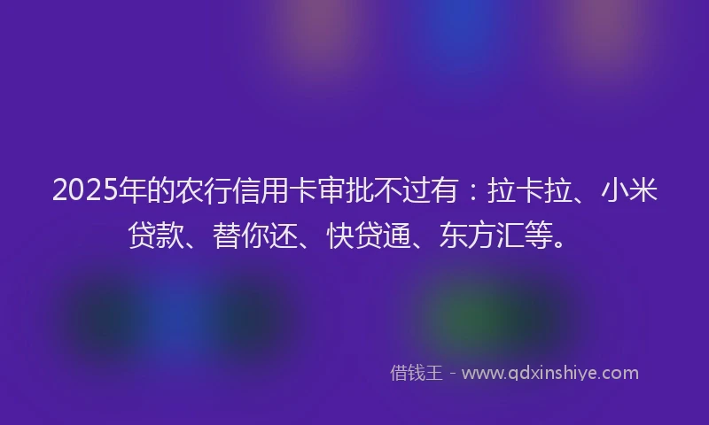 2025年的农行信用卡审批不过有：拉卡拉、小米贷款、替你还、快贷通、东方汇等。
