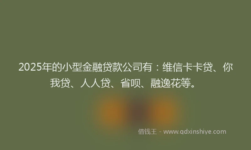 2025年的小型金融贷款公司有：维信卡卡贷、你我贷、人人贷、省呗、融逸花等。