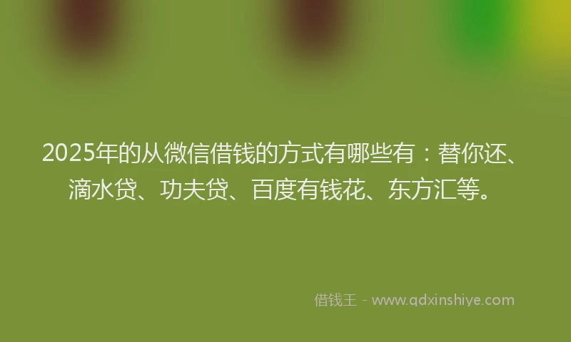 2025年的从微信借钱的方式有哪些有：替你还、滴水贷、功夫贷、百度有钱花、东方汇等。