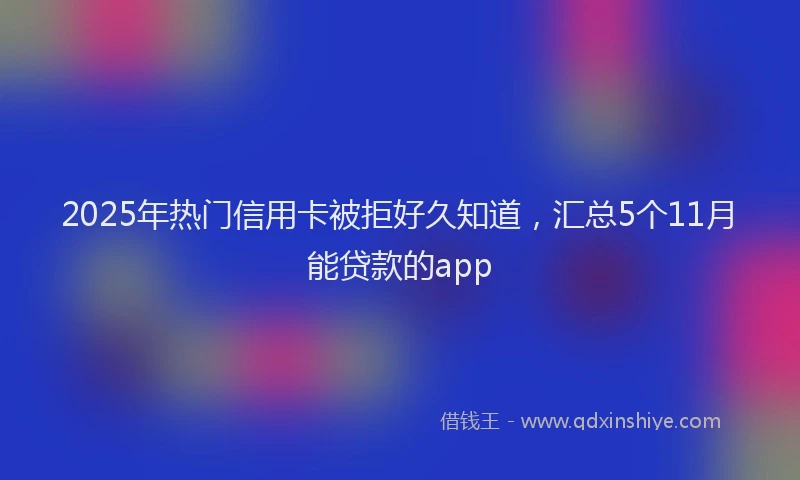 2025年热门信用卡被拒好久知道，汇总5个11月能贷款的app