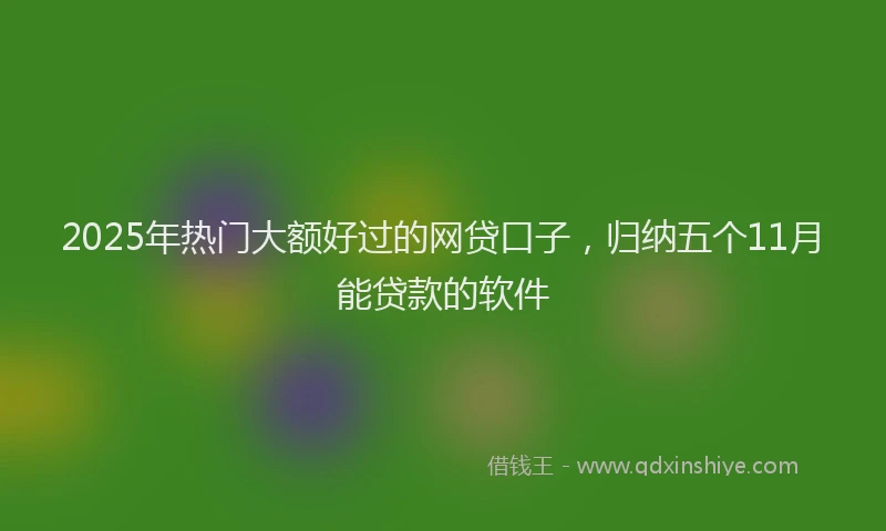 2025年热门大额好过的网贷口子，归纳五个11月能贷款的软件