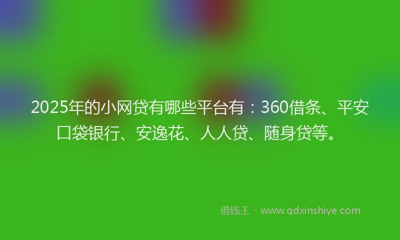 2025年的小网贷有哪些平台有：360借条、平安口袋银行、安逸花、人人贷、随身贷等。