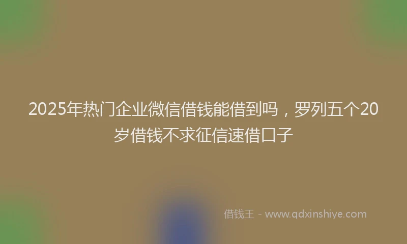 2025年热门企业微信借钱能借到吗，罗列五个20岁借钱不求征信速借口子