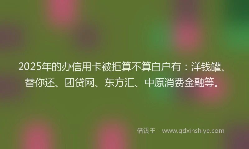 2025年的办信用卡被拒算不算白户有：洋钱罐、替你还、团贷网、东方汇、中原消费金融等。