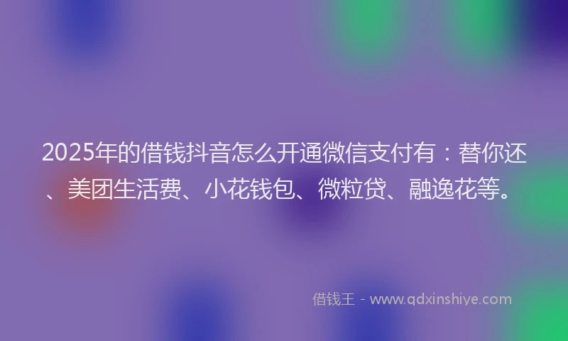 2025年的借钱抖音怎么开通微信支付有：替你还、美团生活费、小花钱包、微粒贷、融逸花等。