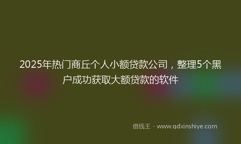 2025年热门商丘个人小额贷款公司，整理5个黑户成功获取大额贷款的软件