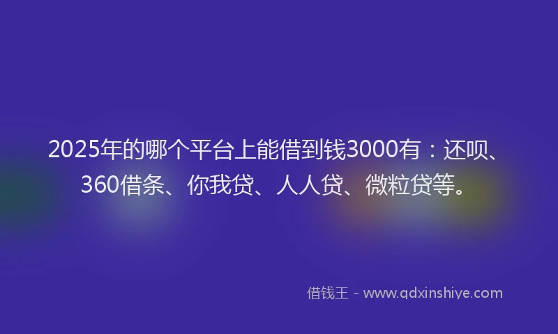 2025年的哪个平台上能借到钱3000有：还呗、360借条、你我贷、人人贷、微粒贷等。
