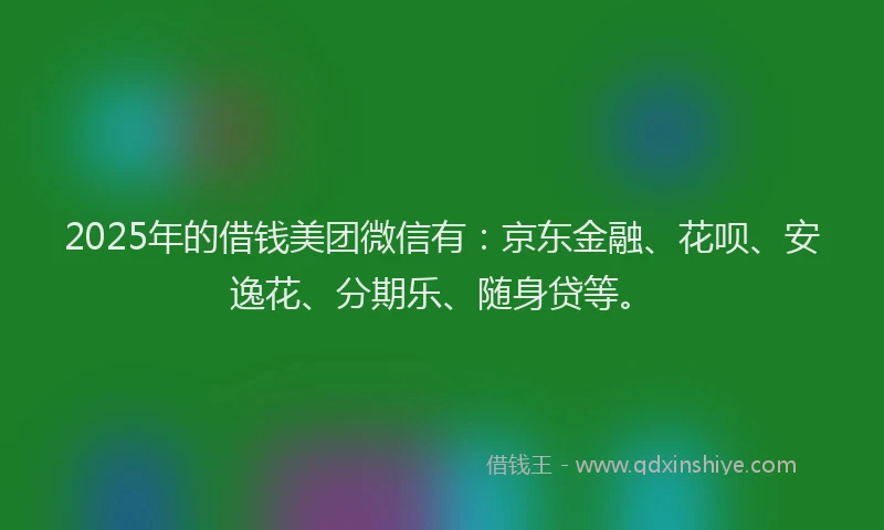 2025年的借钱美团微信有：京东金融、花呗、安逸花、分期乐、随身贷等。