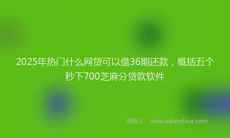 2025年热门什么网贷可以借36期还款，概括五个秒下700芝麻分贷款软件