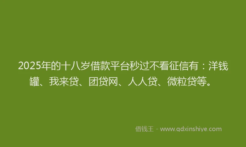 2025年的十八岁借款平台秒过不看征信有：洋钱罐、我来贷、团贷网、人人贷、微粒贷等。