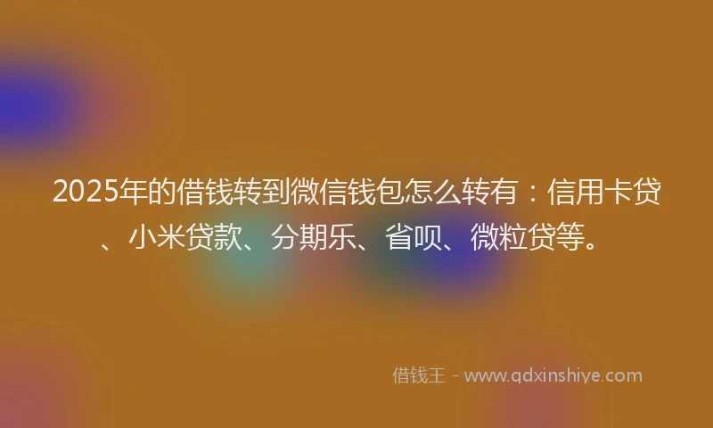 2025年的借钱转到微信钱包怎么转有：信用卡贷、小米贷款、分期乐、省呗、微粒贷等。