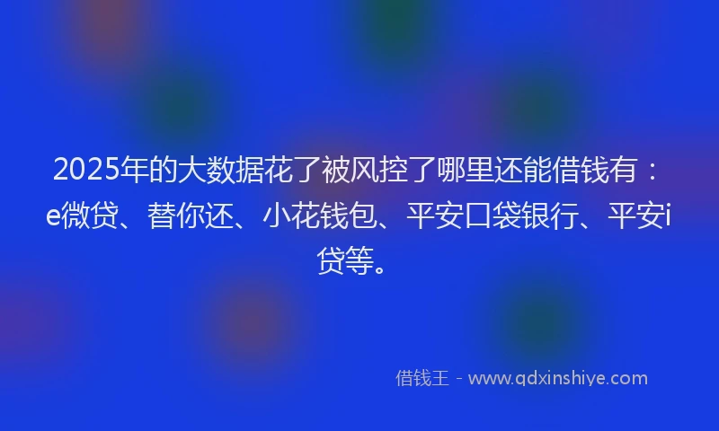 2025年的大数据花了被风控了哪里还能借钱有：e微贷、替你还、小花钱包、平安口袋银行、平安i贷等。