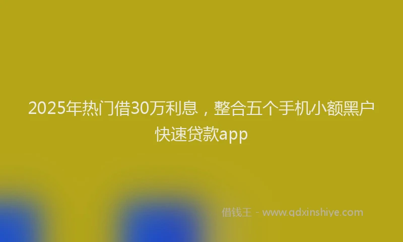 2025年热门借30万利息，整合五个手机小额黑户快速贷款app