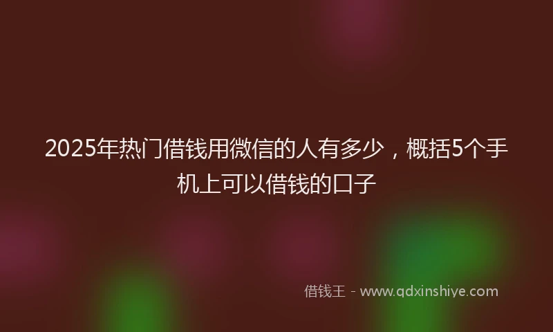 2025年热门借钱用微信的人有多少，概括5个手机上可以借钱的口子