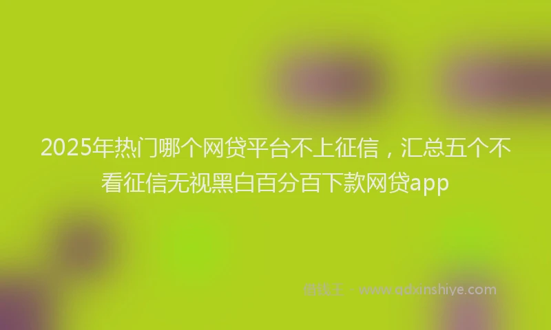 2025年热门哪个网贷平台不上征信，汇总五个不看征信无视黑白百分百下款网贷app