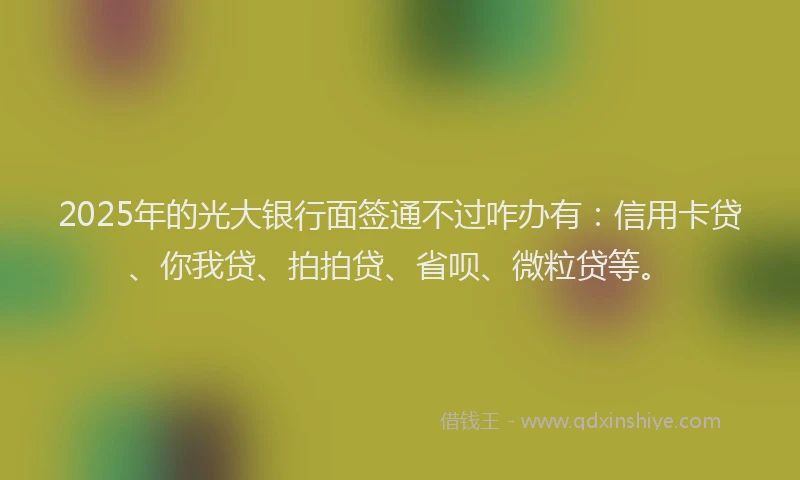 2025年的光大银行面签通不过咋办有：信用卡贷、你我贷、拍拍贷、省呗、微粒贷等。