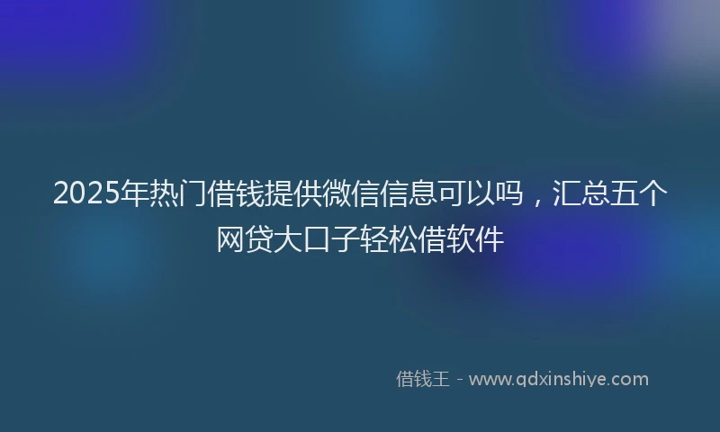 2025年热门借钱提供微信信息可以吗，汇总五个网贷大口子轻松借软件