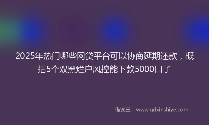2025年热门哪些网贷平台可以协商延期还款，概括5个双黑烂户风控能下款5000口子