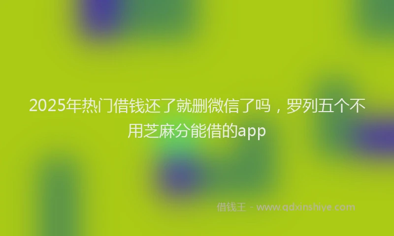 2025年热门借钱还了就删微信了吗，罗列五个不用芝麻分能借的app