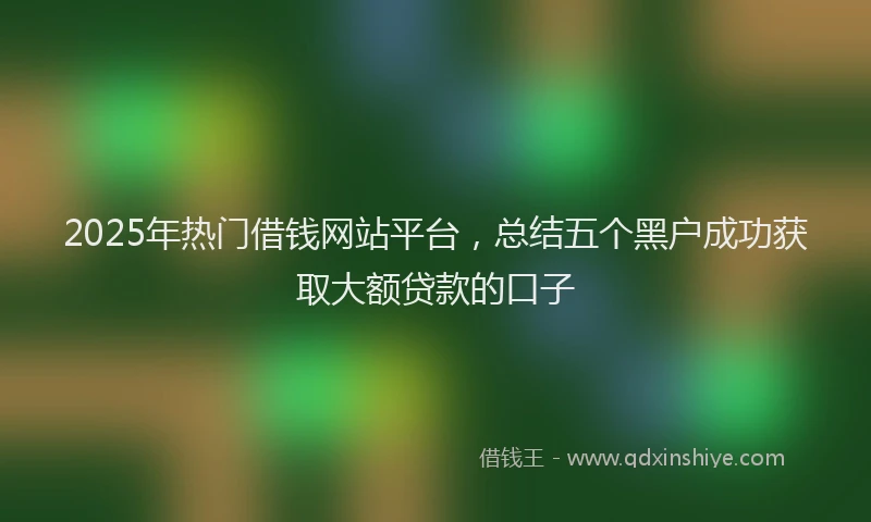 2025年热门借钱网站平台，总结五个黑户成功获取大额贷款的口子