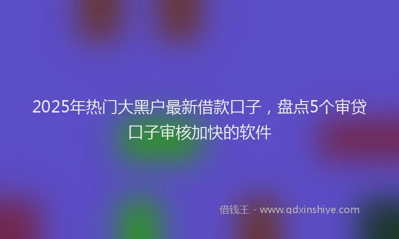 2025年热门大黑户最新借款口子，盘点5个审贷口子审核加快的软件