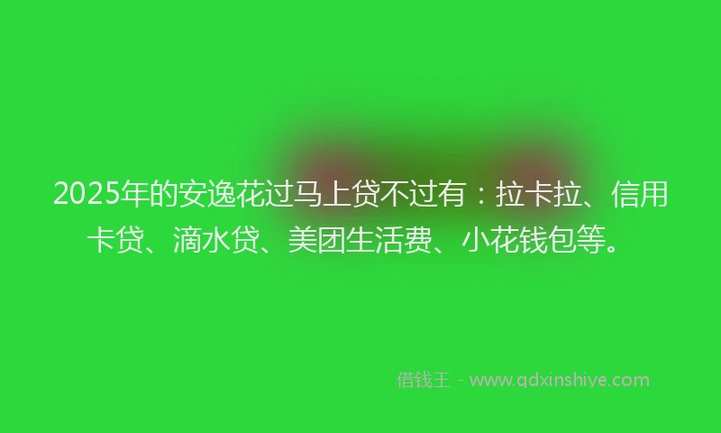 2025年的安逸花过马上贷不过有：拉卡拉、信用卡贷、滴水贷、美团生活费、小花钱包等。