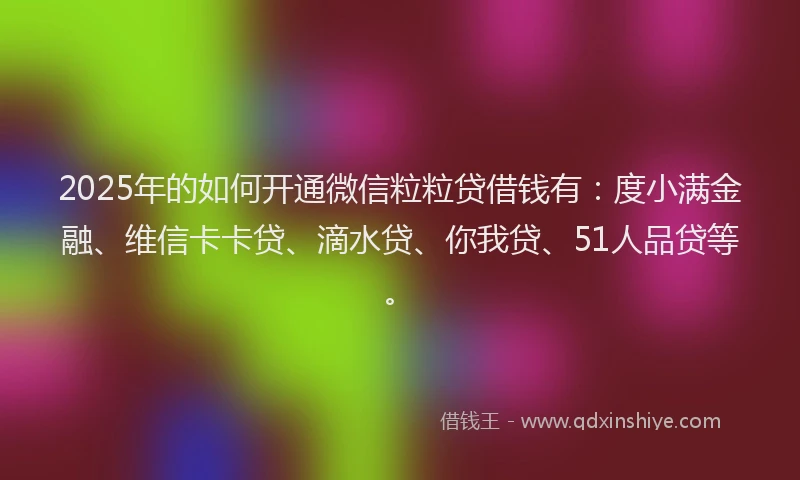 2025年的如何开通微信粒粒贷借钱有：度小满金融、维信卡卡贷、滴水贷、你我贷、51人品贷等。