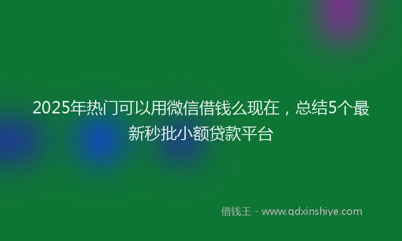 2025年热门可以用微信借钱么现在，总结5个最新秒批小额贷款平台