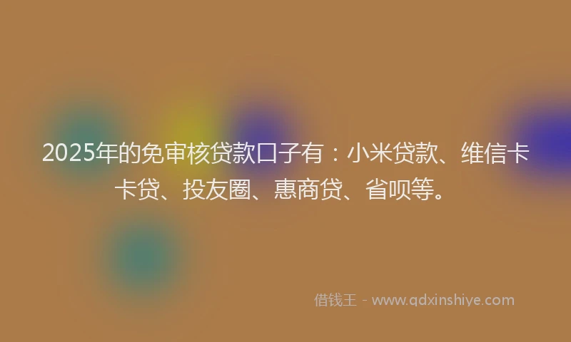 2025年的免审核贷款口子有：小米贷款、维信卡卡贷、投友圈、惠商贷、省呗等。