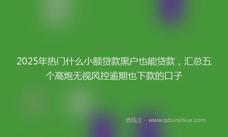 2025年热门什么小额贷款黑户也能贷款，汇总五个高炮无视风控逾期也下款的口子