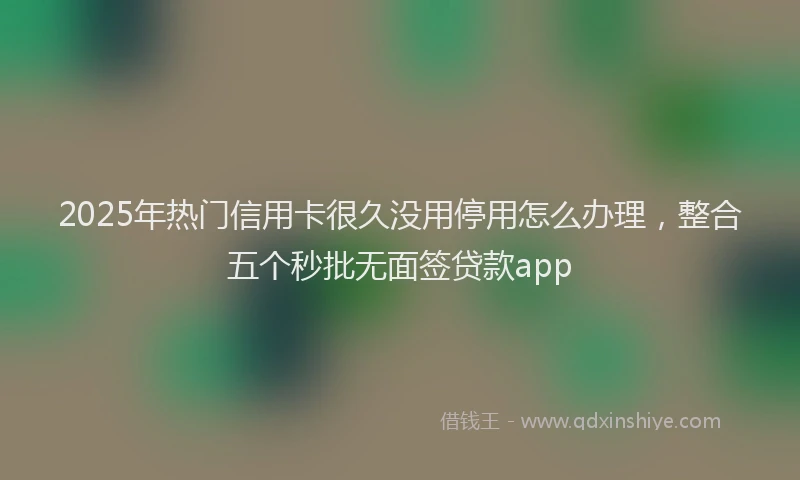 2025年热门信用卡很久没用停用怎么办理，整合五个秒批无面签贷款app