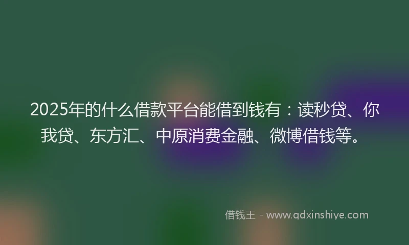 2025年的什么借款平台能借到钱有：读秒贷、你我贷、东方汇、中原消费金融、微博借钱等。